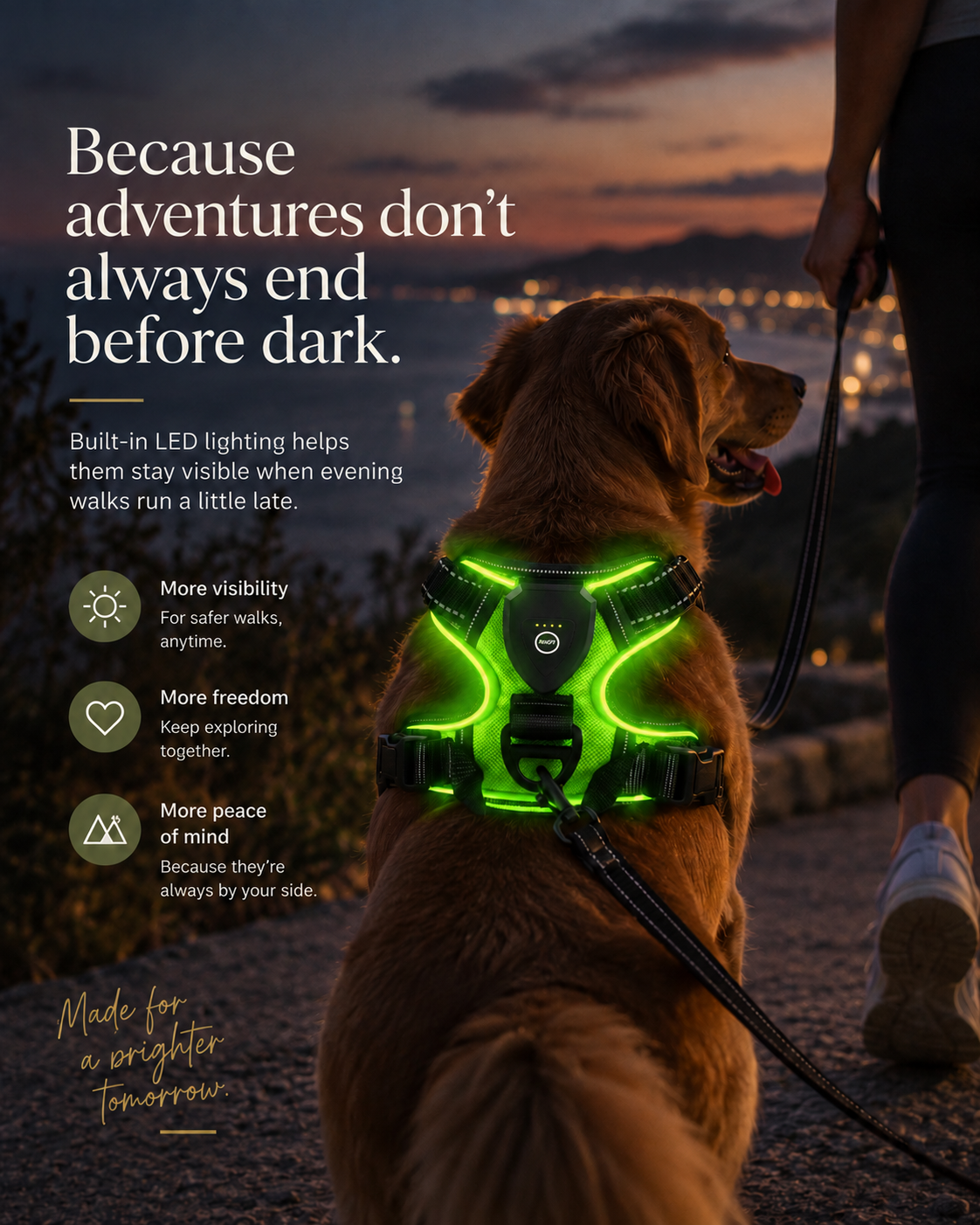 Wayloa LED Dog Harness