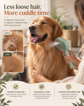 Wayloa Steam Pet Grooming Brush