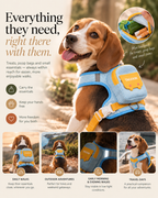 Wayloa 3-in-1 Dog Backpack Harness & Lead Set