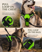 Wayloa LED Dog Harness