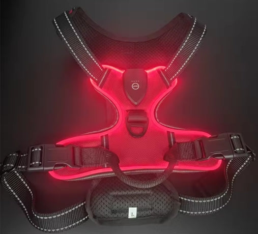 Wayloa LED Dog Harness