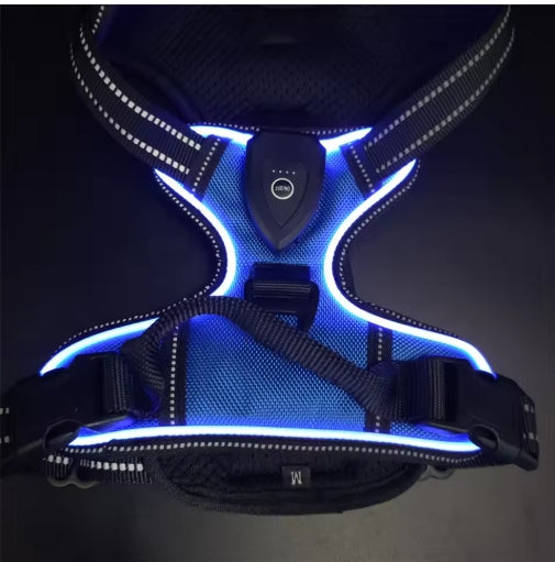 Wayloa LED Dog Harness