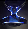 Wayloa LED Dog Harness