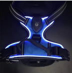 Wayloa LED Dog Harness