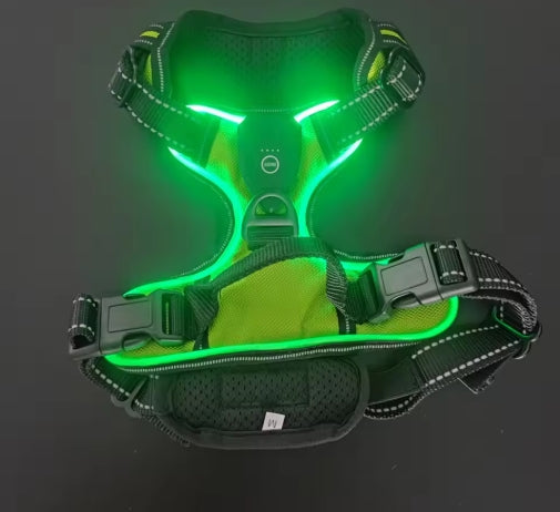 Wayloa LED Dog Harness
