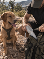 Wayloa Collapsible Dog Water Bottle