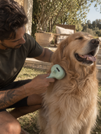 Wayloa Steam Pet Grooming Brush