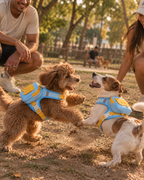 Wayloa 3-in-1 Dog Backpack Harness & Lead Set