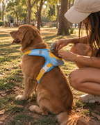 Wayloa 3-in-1 Dog Backpack Harness & Lead Set