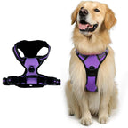 Wayloa Anti-Pull Dog Harness