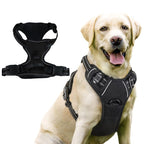 Wayloa Anti-Pull Dog Harness