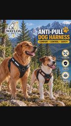 Wayloa Anti-Pull Dog Harness